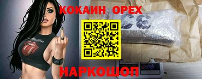 индика Будённовск
