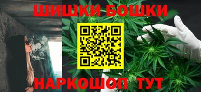 индика Будённовск