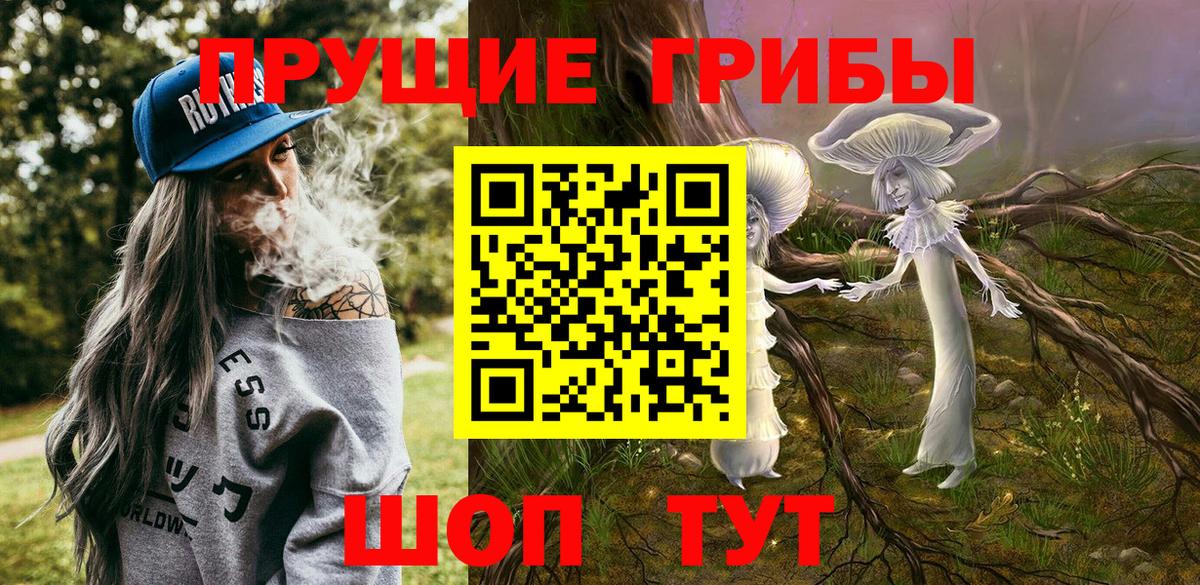 Новоалтайск  Псилоцибиновые грибы Psilocybe  Вход с VPN 